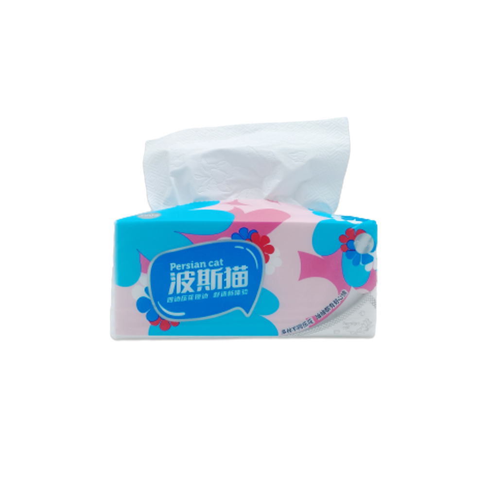 OEM Facial Tissue With Competitive Price Wholesale Factory Direct White Facial Tissue Pocket For Daily Use